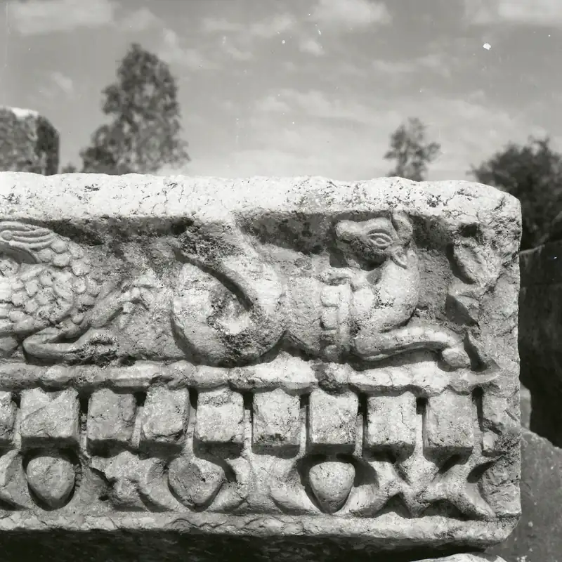 "Capernaum (997009452836405171)", Boris Carmi, maio de 1965